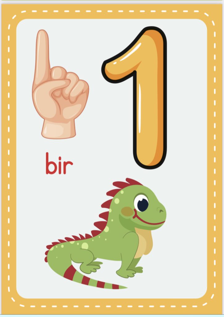 1 RAKAMI 1. Sınıf